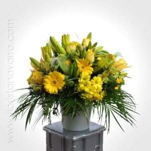 PRIMAVERA