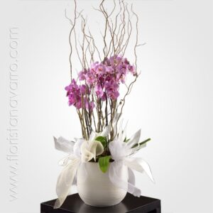Grupo De Orquídeas En Cerámica