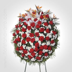 Corona Redonda